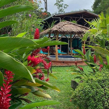 Bed and Breakfast Casa Mambo Кауита Экстерьер фото