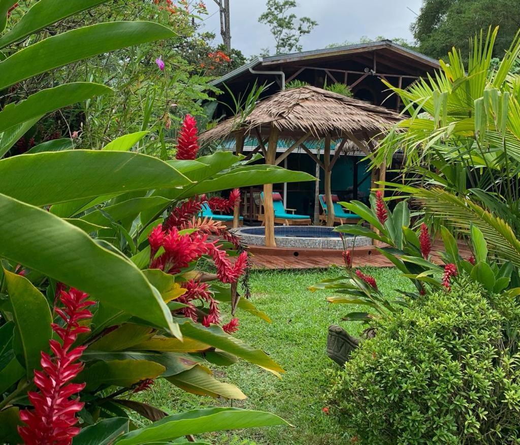 Bed and Breakfast Casa Mambo Кауита Экстерьер фото