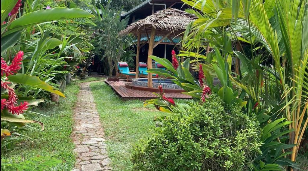 Bed and Breakfast Casa Mambo Кауита Экстерьер фото