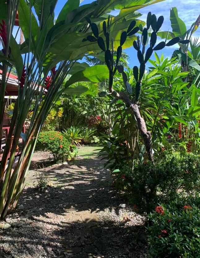 Bed and Breakfast Casa Mambo Кауита Экстерьер фото