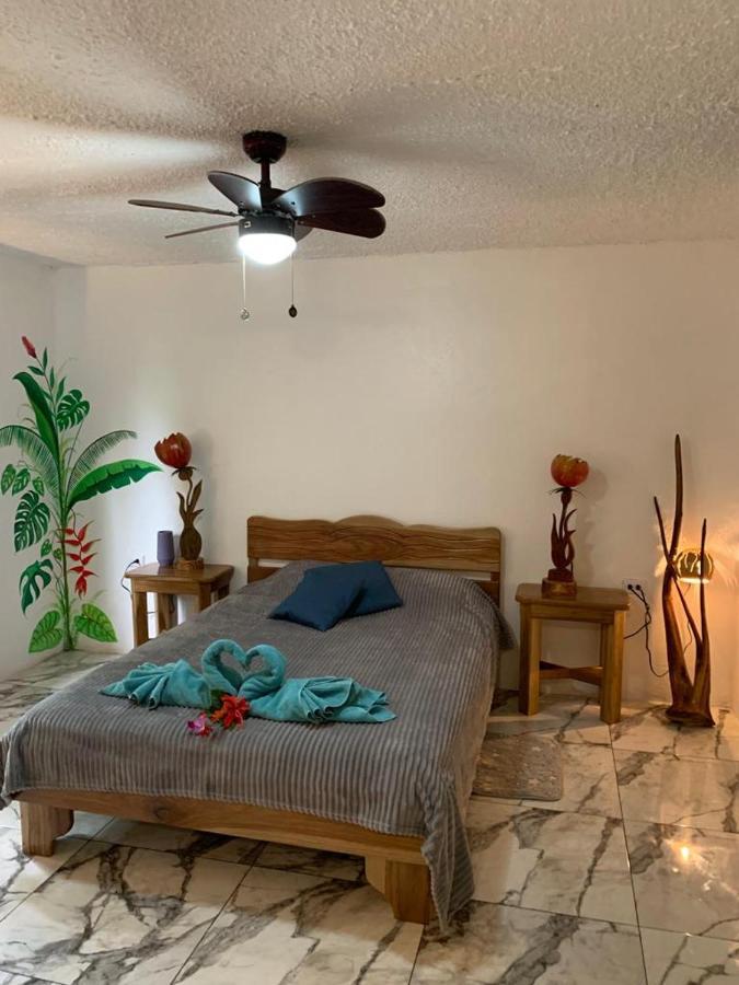 Bed and Breakfast Casa Mambo Кауита Экстерьер фото