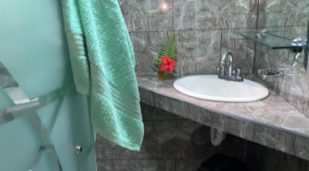Bed and Breakfast Casa Mambo Кауита Экстерьер фото