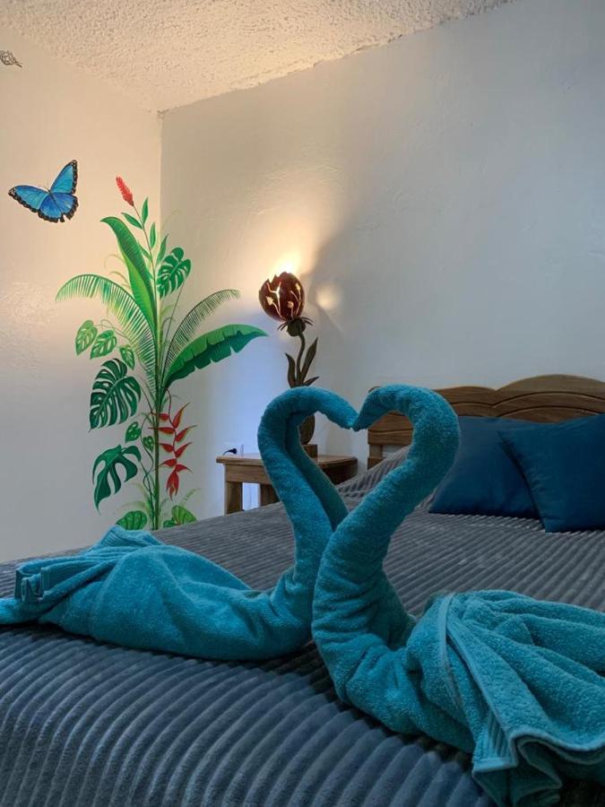 Bed and Breakfast Casa Mambo Кауита Экстерьер фото